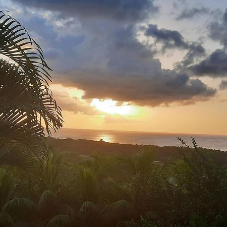 Вілла Oasis De Grande Anse Десе Екстер'єр фото