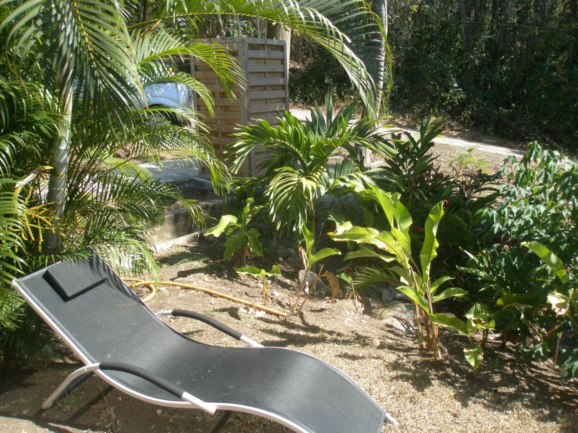 Вілла Oasis De Grande Anse Десе Номер фото